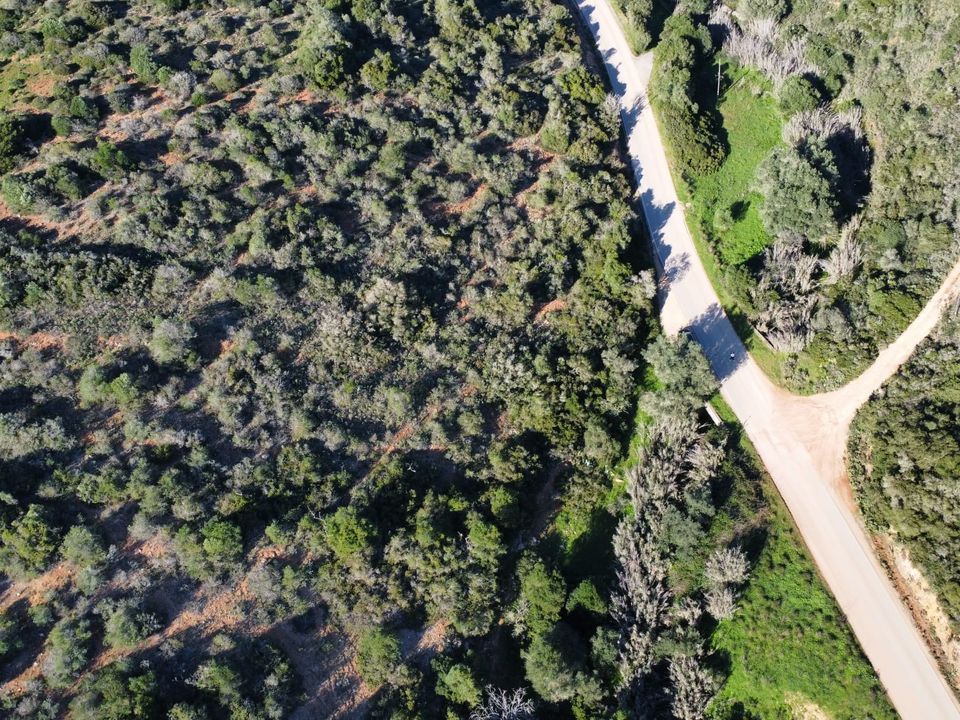 Helårsgrund i Vila do Bispo Municipality, Faro - foto 4